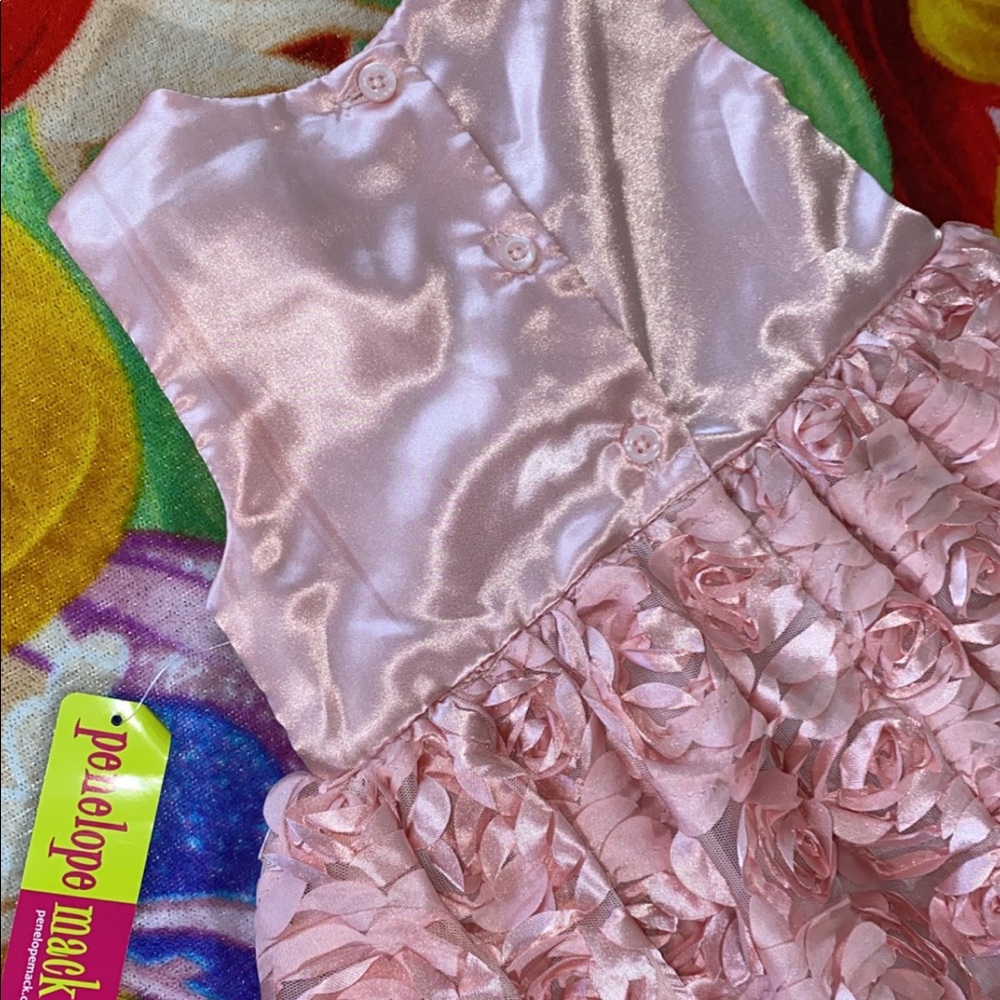 NWT ROSE DRESS 🌹 - Picture 5 of 5